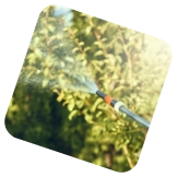 Иммунность