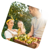 Семейное дерево