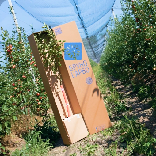 Документы качества